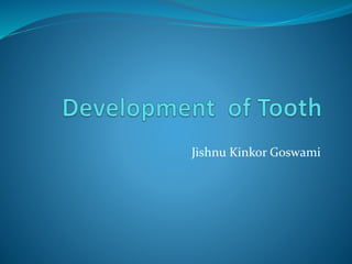 Jishnu Kinkor Goswami
 