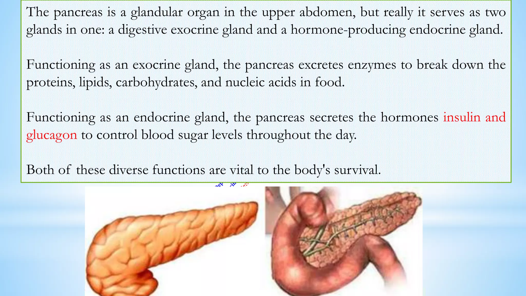 DIABETES IN ANIMALS: CAUSES, DIAGNOSIS AND PHARMACOLOGICAL MANAGEMENT | PDF