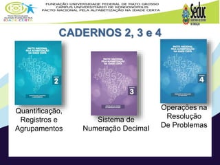 CADERNOS 2, 3 e 4
Quantificação,
Registros e
Agrupamentos
Sistema de
Numeração Decimal
Operações na
Resolução
De Problemas
 