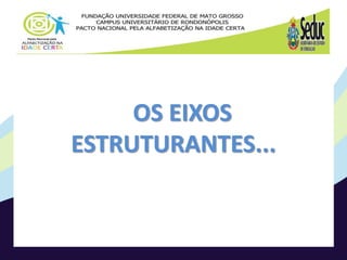OS EIXOS
ESTRUTURANTES...
 