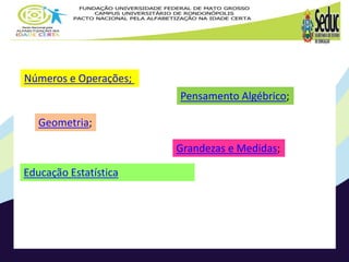 Educação Estatística
Números e Operações;
Pensamento Algébrico;
Geometria;
Grandezas e Medidas;
 