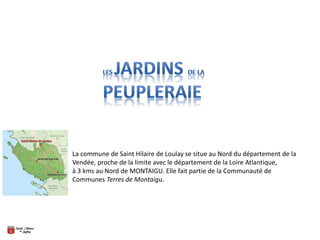 La commune de Saint Hilaire de Loulay se situe au Nord du département de la
Vendée, proche de la limite avec le département de la Loire Atlantique,
à 3 kms au Nord de MONTAIGU. Elle fait partie de la Communauté de
Communes Terres de Montaigu.
 