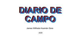 DIARIO DE
CAMPO
James Wilfredo Huamán Gora
DIARIO DE
CAMPO
DIARIO DE
CAMPO
2020
 