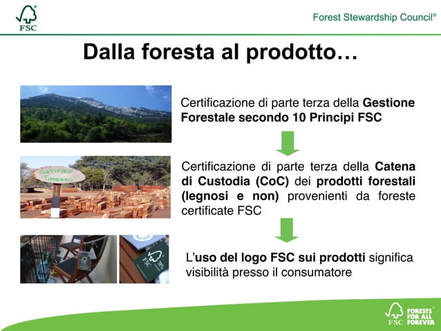 Che cos'è la Certificazione FSC® | PDF