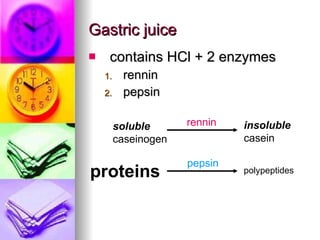 Gastric juice contains HCl + 2 enzymes rennin pepsin  soluble  caseinogen insoluble  casein rennin proteins polypeptides pepsin 