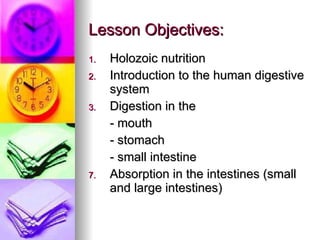 Lesson Objectives: Holozoic nutrition Introduction to the human digestive system Digestion in the  - mouth - stomach - small intestine  Absorption in the intestines (small and large intestines) 