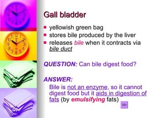 Gall bladder  yellowish green bag stores bile produced by the liver releases  bile  when it contracts via  bile duct QUESTION:  Can bile digest food? ANSWER: Bile is  not an enzyme , so it cannot digest food but it  aids in digestion of fats   (by  emulsifying  fats)  