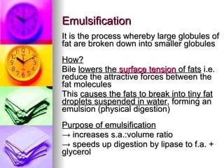 Emulsification It is the process whereby large globules of fat are broken down into smaller globules  How? Bile  lowers the  surface tension  of fats  i.e. reduce the attractive forces between the fat molecules This  causes the fats to break into tiny fat droplets suspended in water , forming an emulsion (physical digestion) Purpose of emulsification ->  increases s.a.:volume ratio  ->  speeds up digestion by lipase to f.a. + glycerol 