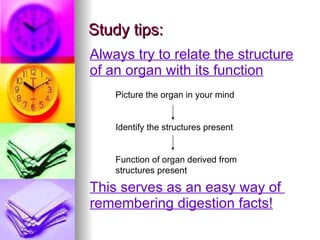 Study tips: Always try to relate the structure of an organ with its function This serves as an easy way of  remembering digestion facts! Picture the organ in your mind  Identify the structures present  Function of organ derived from structures present 
