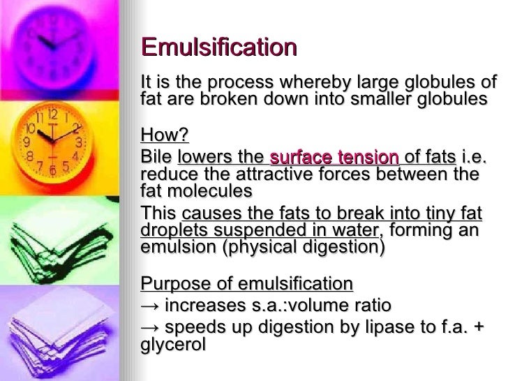 Chapter 6 Nutrition in Humans Lesson 1 The Need for Digestion