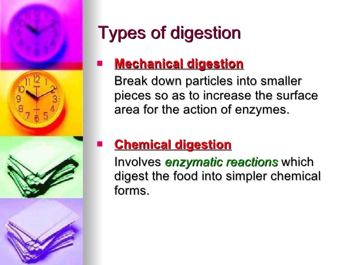 Chapter 6 Nutrition in Humans Lesson 1 - The Need for Digestion