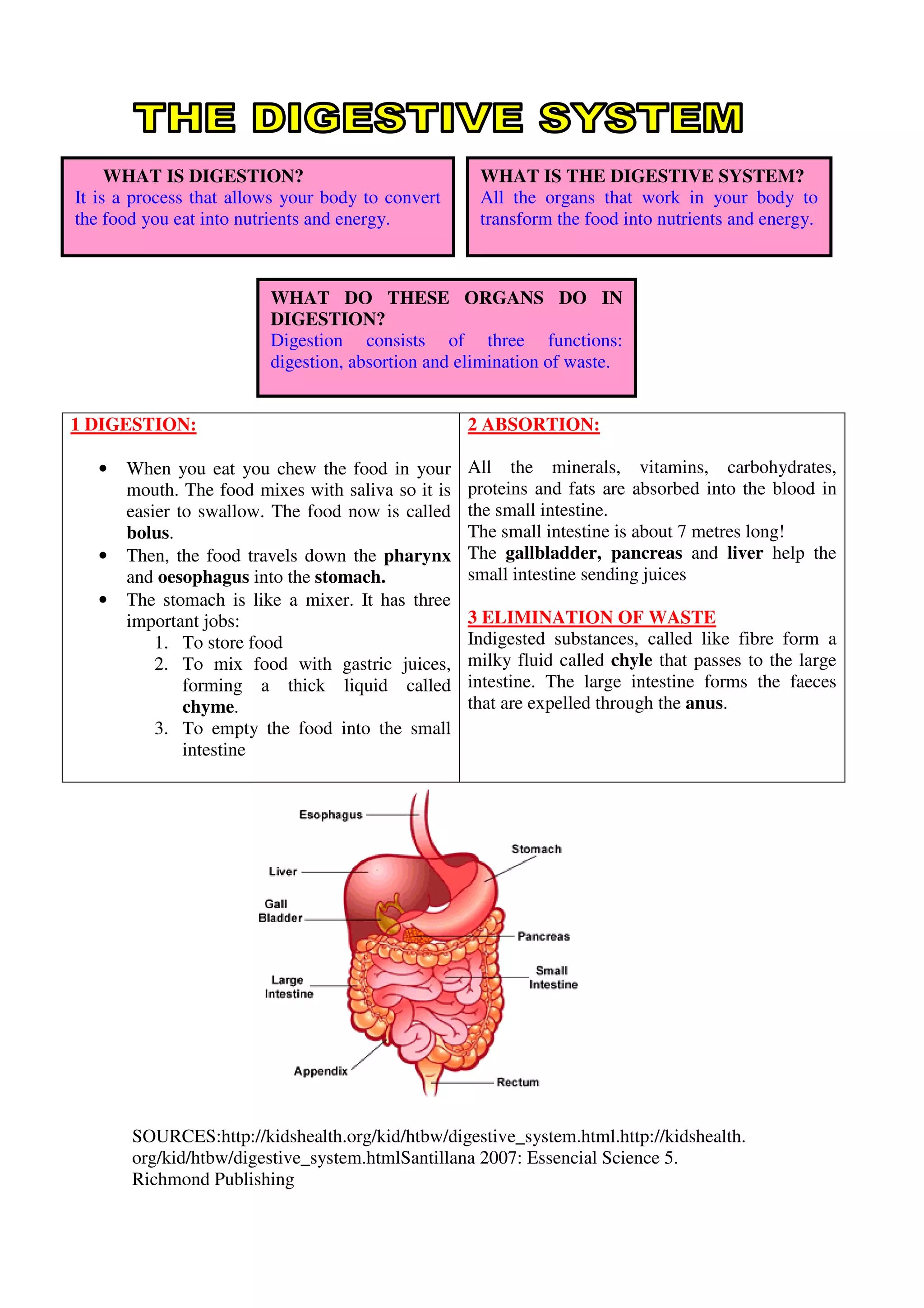 Indigested 1 digestion | PDF