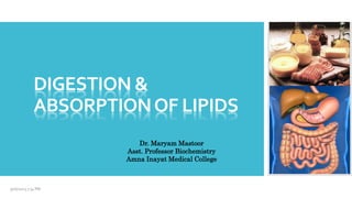 DIGESTION &
ABSORPTIONOF LIPIDS
9/16/2023 7:34 PM
Dr. Maryam Mastoor
Asst. Professor Biochemistry
Amna Inayat Medical College
 