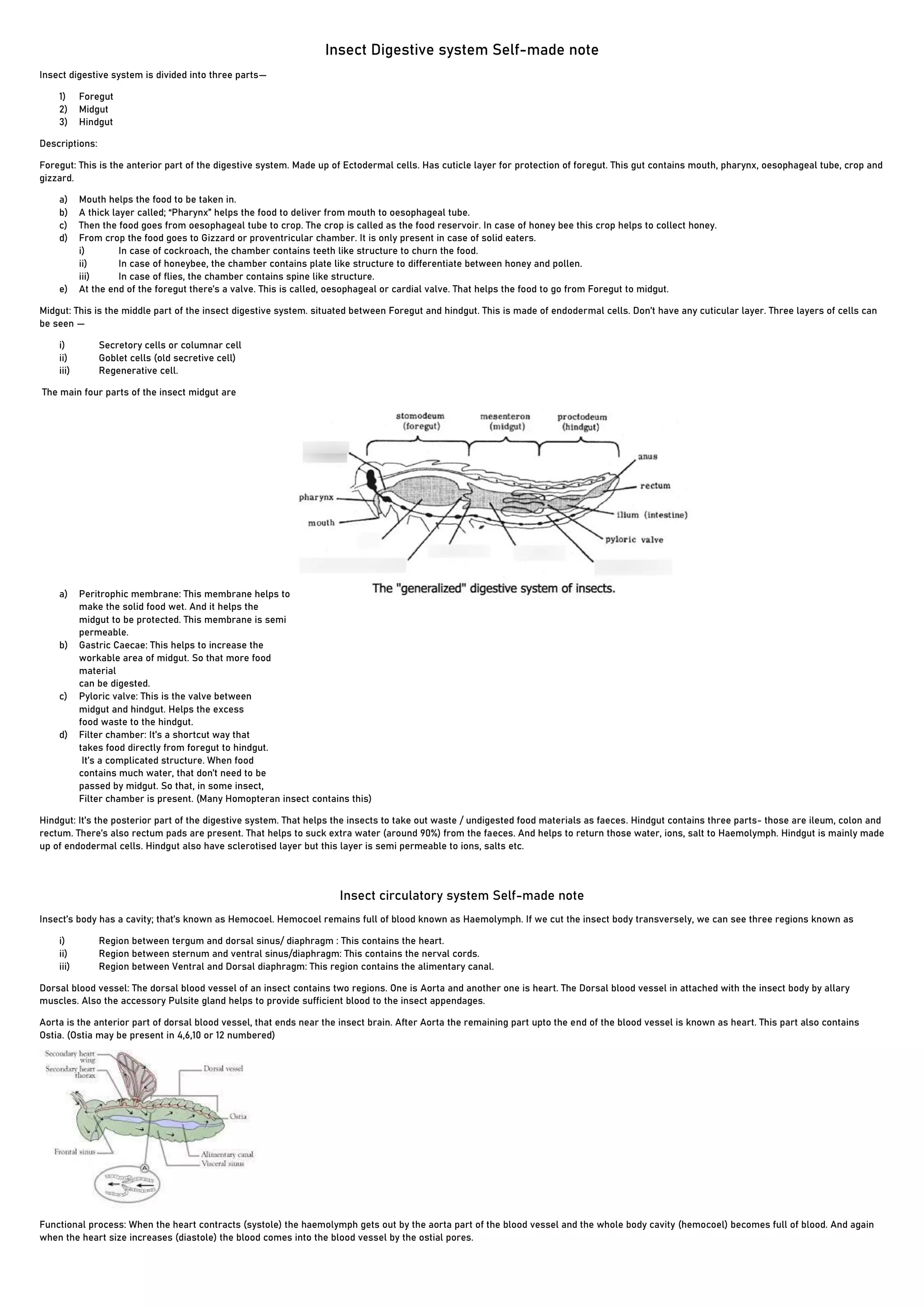 1)Digestive system, Nervous system, circulatory system self made note ...