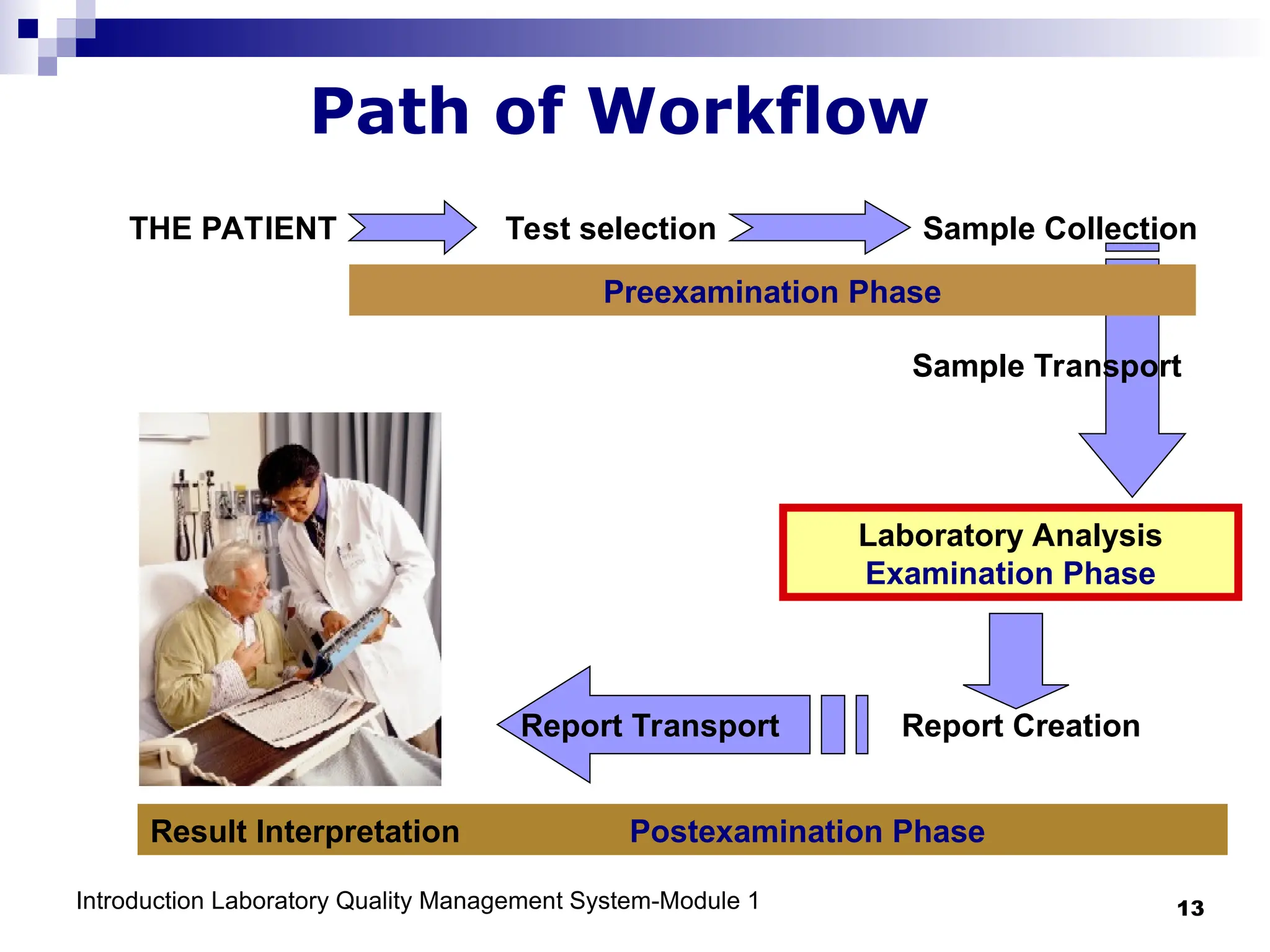 Introduction Laboratory Quality Management System-Module 1 13
Path of Workflow
THE PATIENT Test selection Sample Collection
Sample Transport
Laboratory Analysis
Examination Phase
Report Creation
Report Transport
Preexamination Phase
Result Interpretation Postexamination Phase
 