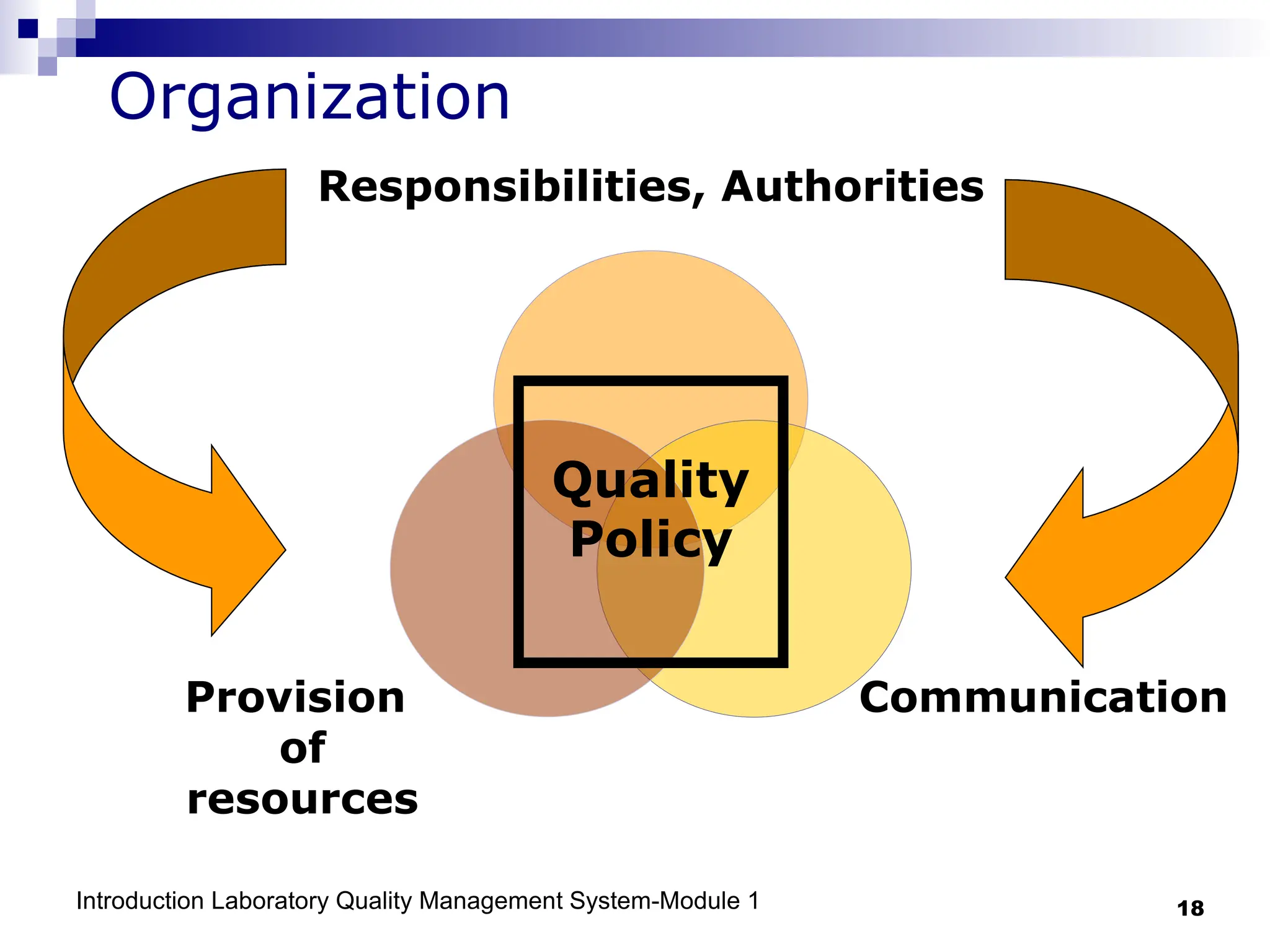 Introduction Laboratory Quality Management System-Module 1 18
Organization
Responsibilities, Authorities
Communication
Provision
of
resources
Quality
Policy
 