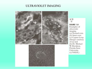 ULTRAVIOLET IMAGING
 