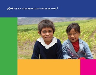 ¿Qué es la discapacidad intelectual?
 