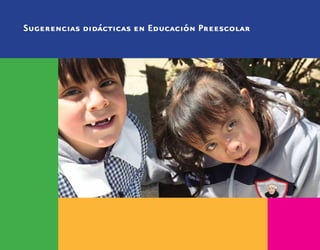 Sugerencias didácticas en Educación Preescolar
 