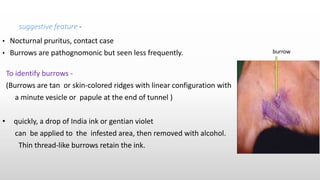 Burrow Ink Testing diseases caused by arthropods and Scabies | PPTX