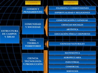 ESTRUCTURA
DE CAMPOS
Y ÁREAS
COMUNIDAD
Y SOCIEDAD
COSMOS Y
PENSAMIENTO
VIDA
TIERRA Y
TERRITORIO
CIENCIA
TECNOLOGÍA
Y PRODUCCIÓN
FILOSOFÍA Y COSMOVISIONES
ESPIRITUALIDAD Y RELIGIONES
COMUNICACIÓN Y LENGUAS
CIENCIAS SOCIALES
ARTÍSTICA
EDUCACIÓN FÍSICA Y DEPORTES
CIENCIAS NATURALES
MATEMÁTICA
AGROPECUARIA
INDUSTRIAL
COMERCIAL
SERVICIOS
ÁREASCAMPOS
 