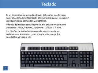 Teclado
Es un dispositivo de entrada a través del cual se puede hacer
llegar al ordenador información alfanumérica; con él se pueden
introducir datos, comandos y programas.
Además del teclado con alfabeto latino, existen teclados con
caracteres chinos, hebreos, japoneses, cirílicos o árabes.
Los diseños de los teclados son cada vez más variados:
inalámbricos, anatómicos, con energía solar, plegables,
enrollables, virtuales, etc.
 