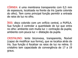 CÓRNEA: é uma membrana transparente com 0,5 mm 
de espessura, localizada na frente da íris (parte colorida 
do olho). Tem como principal função permitir a entrada 
de raios de luz no olho. 
ÍRIS: disco colorido com um orifício central, a PUPILA. 
Sua função é controlar a quantidade de luz que entra 
no olho: ambiente com muita luz = contração da pupila; 
ambiente com pouca luz = dilatação da pupila. 
CRISTALINO: lente biconvexa, transparente, flexível 
(capaz de modificar sua forma), que se localiza atrás da 
íris. Sua função é focalizar os raios de luz na retina. O 
cristalino tem capacidade de convergência de 17 a 19 
graus. 
 