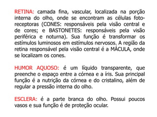 RETINA: camada fina, vascular, localizada na porção 
interna do olho, onde se encontram as células foto-receptoras 
(CONES: responsáveis pela visão central e 
de cores; e BASTONETES: responsáveis pela visão 
periférica e noturna). Sua função é transformar os 
estímulos luminosos em estímulos nervosos. A região da 
retina responsável pela visão central é a MÁCULA, onde 
se localizam os cones. 
HUMOR AQUOSO: é um líquido transparente, que 
preenche o espaço entre a córnea e a íris. Sua principal 
função é a nutrição da córnea e do cristalino, além de 
regular a pressão interna do olho. 
ESCLERA: é a parte branca do olho. Possui poucos 
vasos e sua função é de proteção ocular. 
 