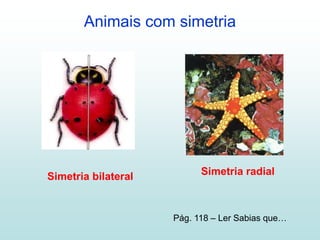 Animais com simetria
Simetria radialSimetria bilateral
Pág. 118 – Ler Sabias que…
 