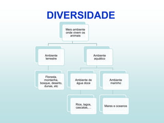 DIVERSIDADE
Meio ambiente
onde vivem os
animais
Ambiente
terrestre
Floresta,
montanha,
bosque, deserto,
dunas, etc
Ambiente
aquático
Ambiente de
água doce
Rios, lagos,
cascatas,…
Ambiente
marinho
Mares e oceanos
 