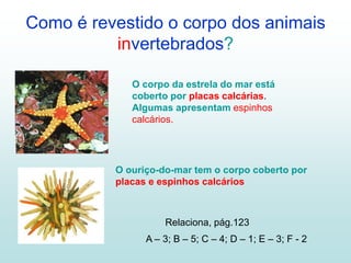 Como é revestido o corpo dos animais
invertebrados?
O corpo da estrela do mar está
coberto por placas calcárias.
Algumas apresentam espinhos
calcários.
O ouriço-do-mar tem o corpo coberto por
placas e espinhos calcários
Relaciona, pág.123
A – 3; B – 5; C – 4; D – 1; E – 3; F - 2
 