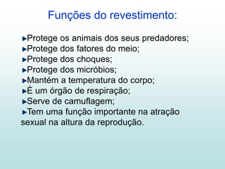 Funções do revestimento:
Protege os animais dos seus predadores;
Protege dos fatores do meio;
Protege dos choques;
Protege dos micróbios;
Mantém a temperatura do corpo;
É um órgão de respiração;
Serve de camuflagem;
Tem uma função importante na atração
sexual na altura da reprodução.
 
