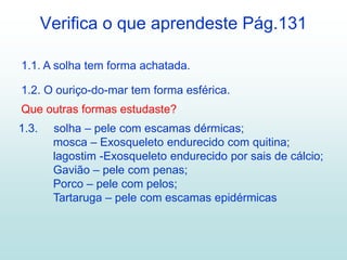 Verifica o que aprendeste Pág.131
1.1. A solha tem forma achatada.
1.2. O ouriço-do-mar tem forma esférica.
Que outras formas estudaste?
1.3. solha – pele com escamas dérmicas;
mosca – Exosqueleto endurecido com quitina;
lagostim -Exosqueleto endurecido por sais de cálcio;
Gavião – pele com penas;
Porco – pele com pelos;
Tartaruga – pele com escamas epidérmicas
 