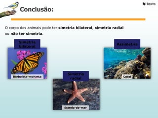CoralBorboleta-monarca
Estrela-do-mar
Simetria
bilateral
Simetria
radial
Assimetria
O corpo dos animais pode ter simetria bilateral, simetria radial
ou não ter simetria.
Conclusão:
 