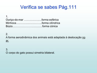 Verifica se sabes Pág.111
1.
Ouriço-do-mar ………………..forma esférica
Minhoca………………………..forma cilíndrica
Búzio……………………………forma cónica
2.
A forma aerodinâmica dos animais está adaptada à deslocação no
ar.
3.
O corpo do gato possui simetria bilateral.
 