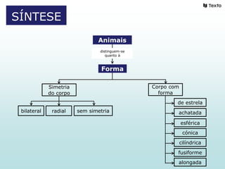 Animais
distinguem-se
quanto à
Forma
Simetria
do corpo
bilateral radial sem simetria
Corpo com
forma
de estrela
achatada
esférica
cónica
cilíndrica
fusiforme
alongada
SÍNTESE
 