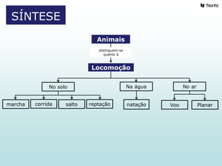 SÍNTESE
Animais
distinguem-se
quanto à
Locomoção
No solo
marcha corrida salto
Na água
reptação Voo Planarnatação
No ar
 