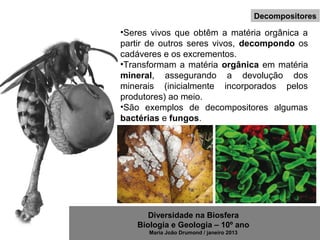 Diversidade na Biosfera
Biologia e Geologia – 10º ano
Maria João Drumond / janeiro 2013
Decompositores
•Seres vivos que obtêm a matéria orgânica a
partir de outros seres vivos, decompondo os
cadáveres e os excrementos.
•Transformam a matéria orgânica em matéria
mineral, assegurando a devolução dos
minerais (inicialmente incorporados pelos
produtores) ao meio.
•São exemplos de decompositores algumas
bactérias e fungos.
 