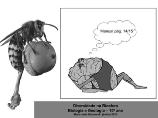 Diversidade na Biosfera
Biologia e Geologia – 10º ano
Maria João Drumond / janeiro 2013
Manual pág. 14/15
 
