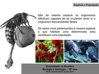 Diversidade na Biosfera
Biologia e Geologia – 10º ano
Maria João Drumond / janeiro 2013
Espécie e População
São da mesma espécie os organismos
idênticos, capazes de se cruzarem entre si e
originarem descendentes férteis
Os seres vivos pertencentes à mesma espécie
e que habitam uma determinada área
constituem uma população.
 