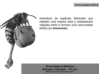 Diversidade na Biosfera
Biologia e Geologia – 10º ano
Maria João Drumond / janeiro 2013
Comunidade biótica
Indivíduos de espécies diferentes que
habitam uma mesma área e estabelecem
relações entre si formam uma comunidade
biótica (ou biocenose)
 