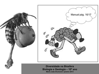 Diversidade na Biosfera
Biologia e Geologia – 10º ano
Maria João Drumond / janeiro 2013
Manual pág. 16/17
 
