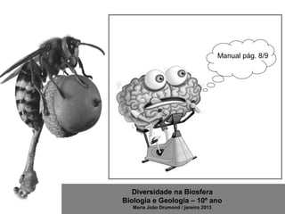 Diversidade na Biosfera
Biologia e Geologia – 10º ano
Maria João Drumond / janeiro 2013
Manual pág. 8/9
 