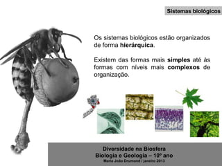 Diversidade na Biosfera
Biologia e Geologia – 10º ano
Maria João Drumond / janeiro 2013
Os sistemas biológicos estão organizados
de forma hierárquica.
Existem das formas mais simples até às
formas com níveis mais complexos de
organização.
Sistemas biológicos
 