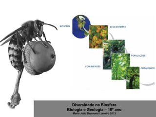 Diversidade na Biosfera
Biologia e Geologia – 10º ano
Maria João Drumond / janeiro 2013
 