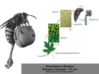 Diversidade na Biosfera
Biologia e Geologia – 10º ano
Maria João Drumond / janeiro 2013
 