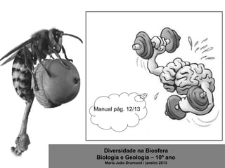 Diversidade na Biosfera
Biologia e Geologia – 10º ano
Maria João Drumond / janeiro 2013
Manual pág. 12/13
 