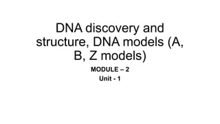 1) DNA Discovery and Structure presentation | PPTX