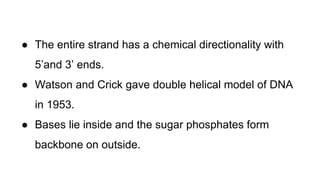 DNA and It's Structure | PPTX