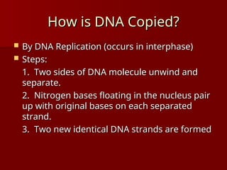 How Dna Copy 1DNA Notes.ppt